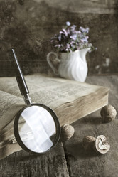 Similar image 13145990