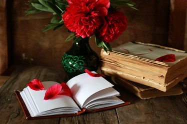 Similar image 13146174