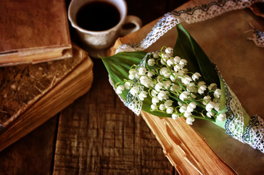 Similar image 13146189