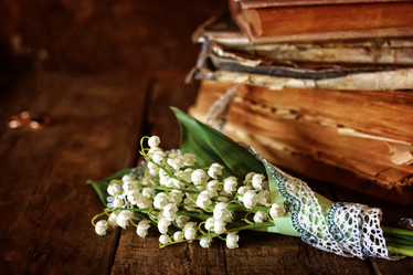 Similar image 13146190