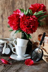 Similar image 13146211