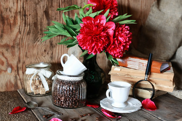 Similar image 13146212