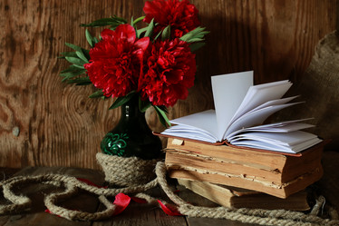 Similar image 13146213