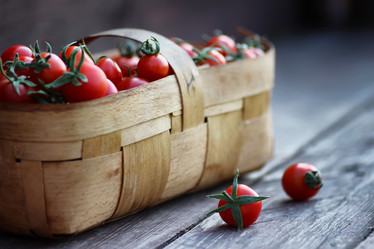 Similar image 13146347