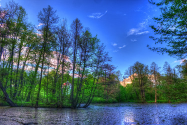 Similar image 13134720