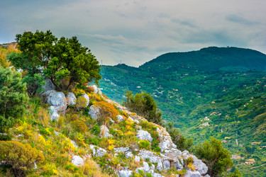 Similar image 13134758