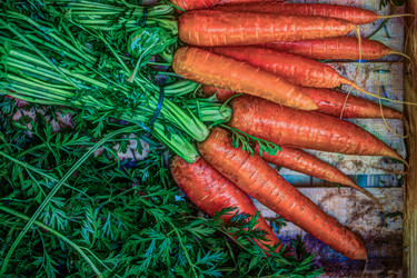 Similar image 13134866