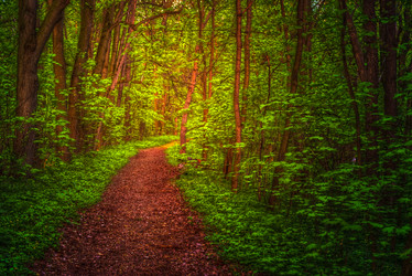 Similar image 13134923