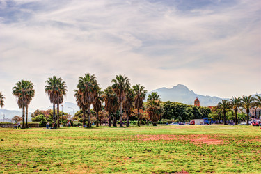 Similar image 13133733