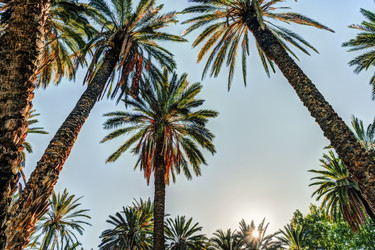 Similar image 13133736