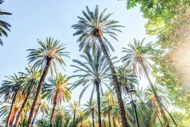 Similar image 13133773