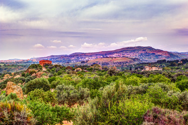 Similar image 13133828