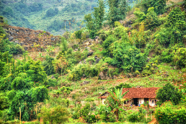 Similar image 13133863