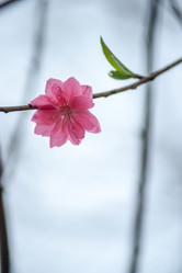 Similar image 13134060