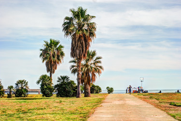 Similar image 13133944