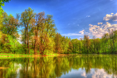 Similar image 13133963