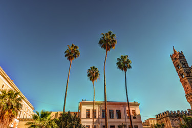 Similar image 13134004