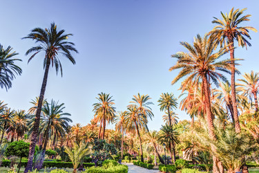 Similar image 13134023