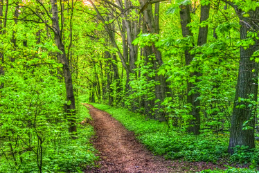 Similar image 13134101