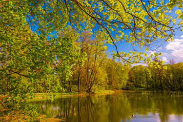 Similar image 13134006