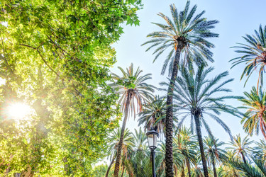 Similar image 13134104