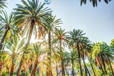 Similar image 13134123