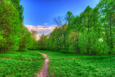 Similar image 13134162