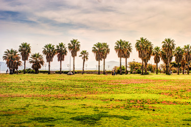 Similar image 13134318