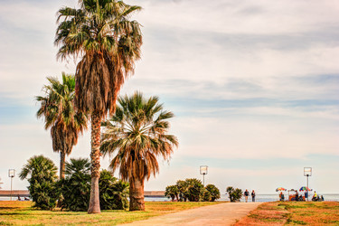 Similar image 13134319