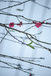 Similar image 13134622