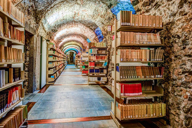 Similar image 13134656