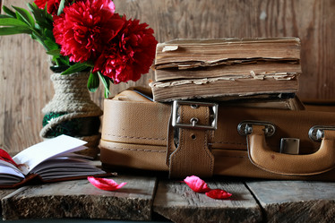 Similar image 13146369