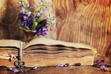 Similar image 13146408