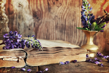 Similar image 13146409