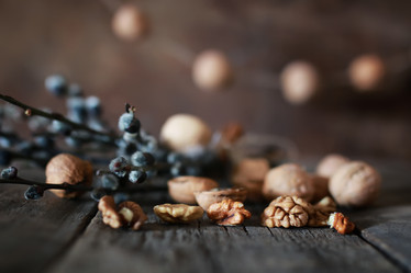 Similar image 13146015