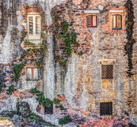 Similar image 13134905