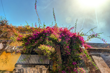 Similar image 13134063