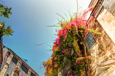 Similar image 13133887