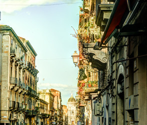 Similar image 13133949