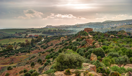 Similar image 13134166