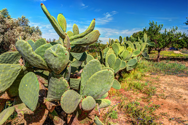 Similar image 13134227