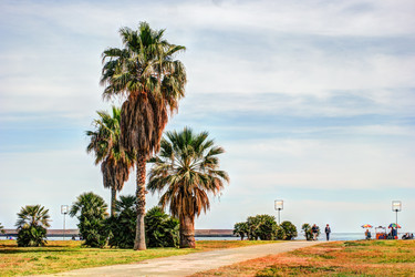 Similar image 13134264