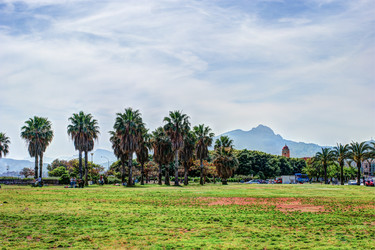 Similar image 13134281