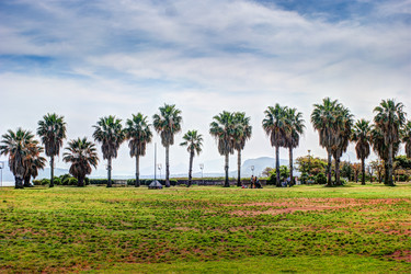 Similar image 13134304