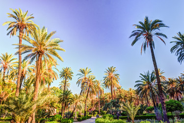 Similar image 13134358