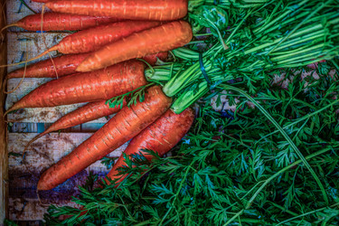 Similar image 13134376