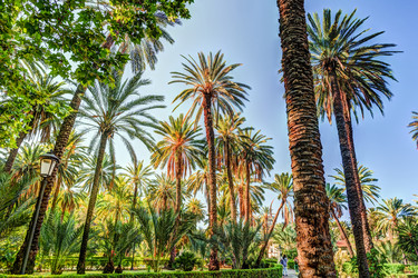 Similar image 13134415