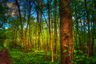 Similar image 13134526