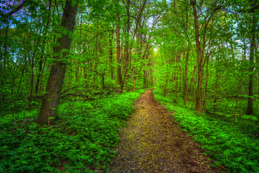 Similar image 13134566