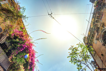 Similar image 13134440